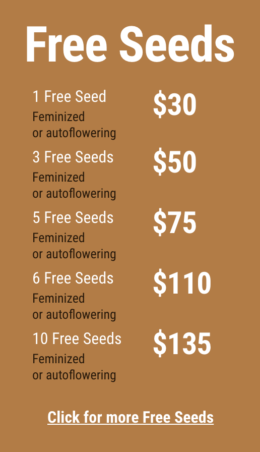 free cannabis seeds